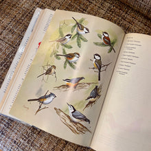 Load image into Gallery viewer, The Birds of Canada