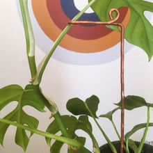 Load image into Gallery viewer, Copper Swizzle Plant Stick