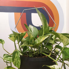 Load image into Gallery viewer, Steel Hexagon Wire Trellis