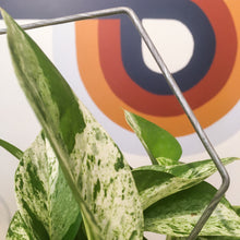 Load image into Gallery viewer, Steel Hexagon Wire Trellis