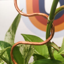 Load image into Gallery viewer, Copper Serpent Plant Stick
