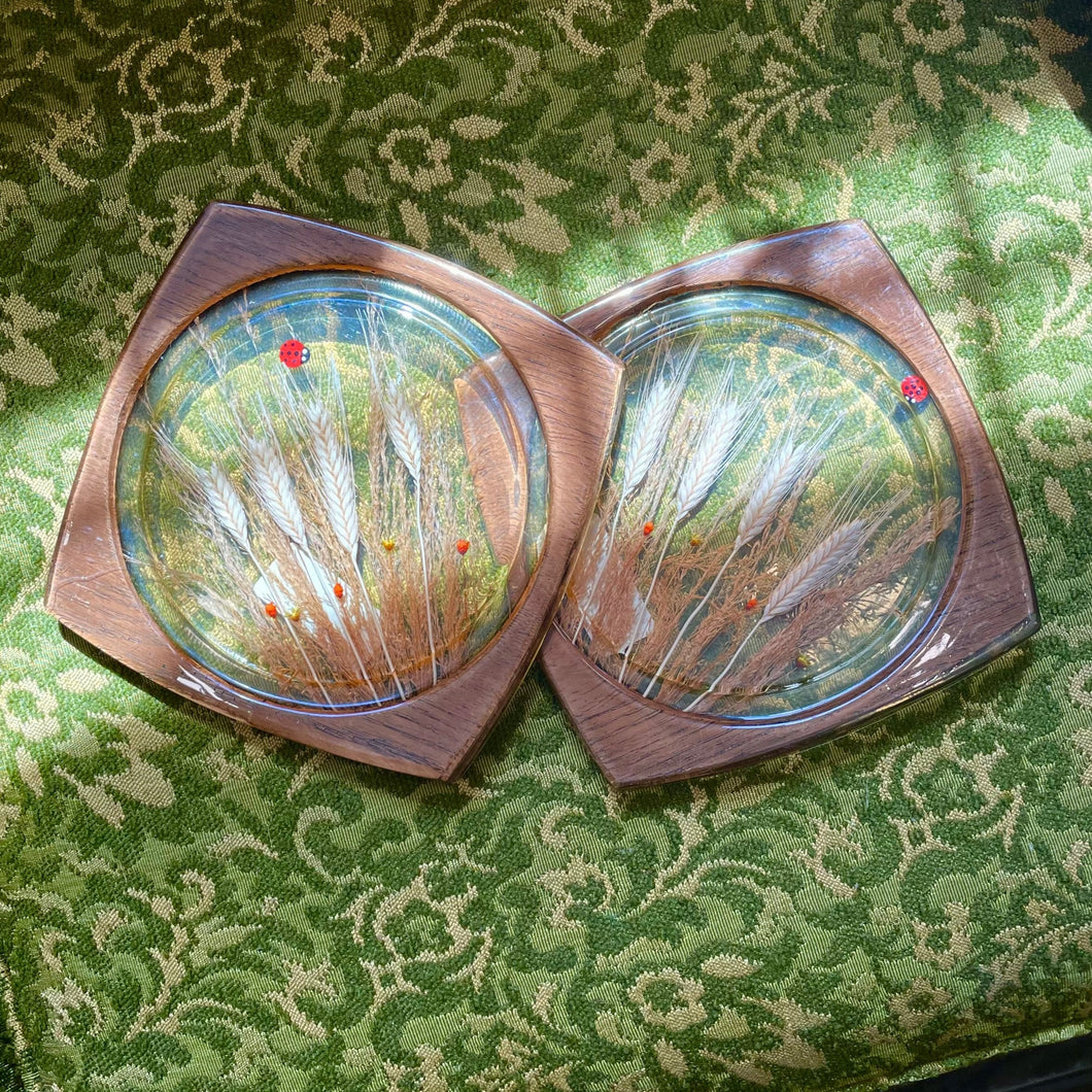 Vintage Lucite Seed Trivet