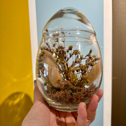 Hand holding a glass terrarium with plants against a colorful wall.
