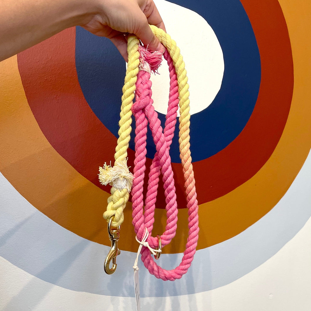 Ombre Pink/Yellow Leash
